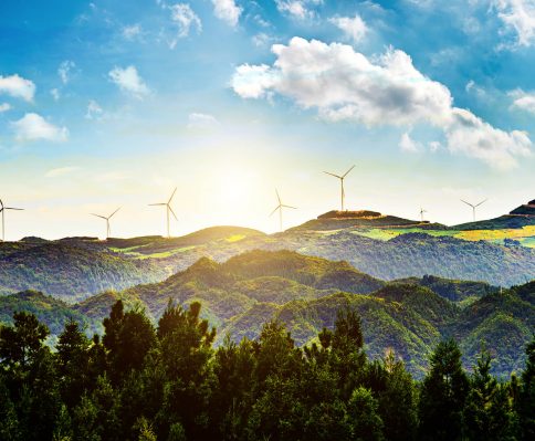 Renewable Green Energy Translation-img2
